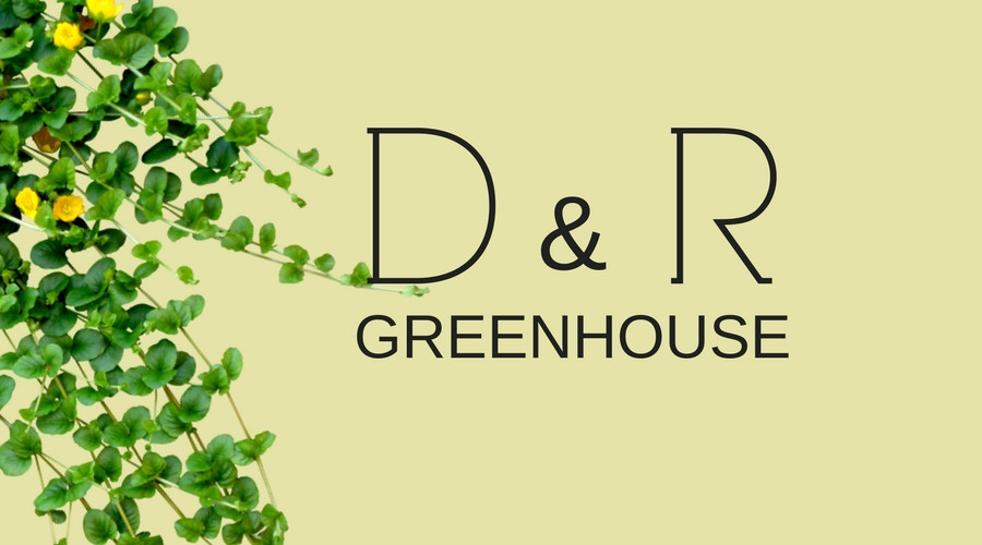 D & R Green House