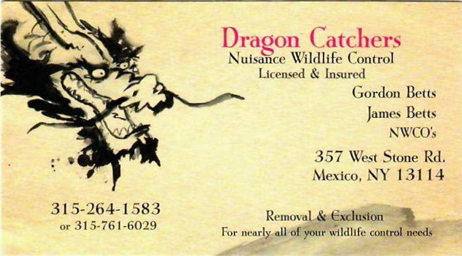 Dragon Catchers